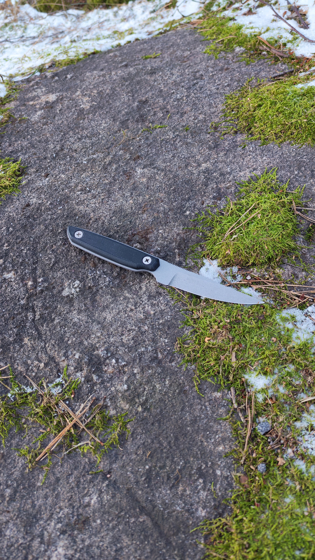 Falcon - Tom Drwal's Knife