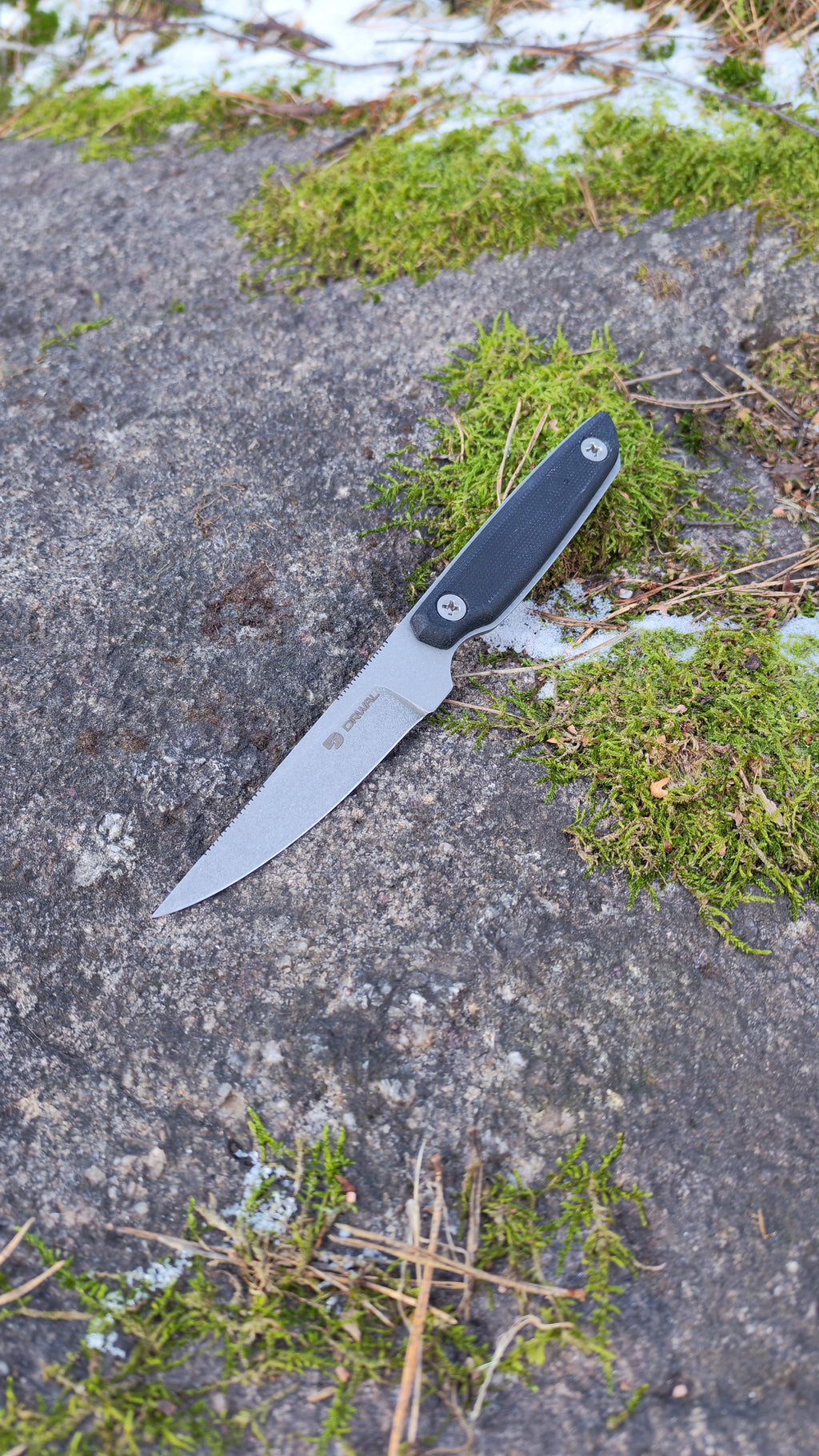 Falcon - Tom Drwal's Knife