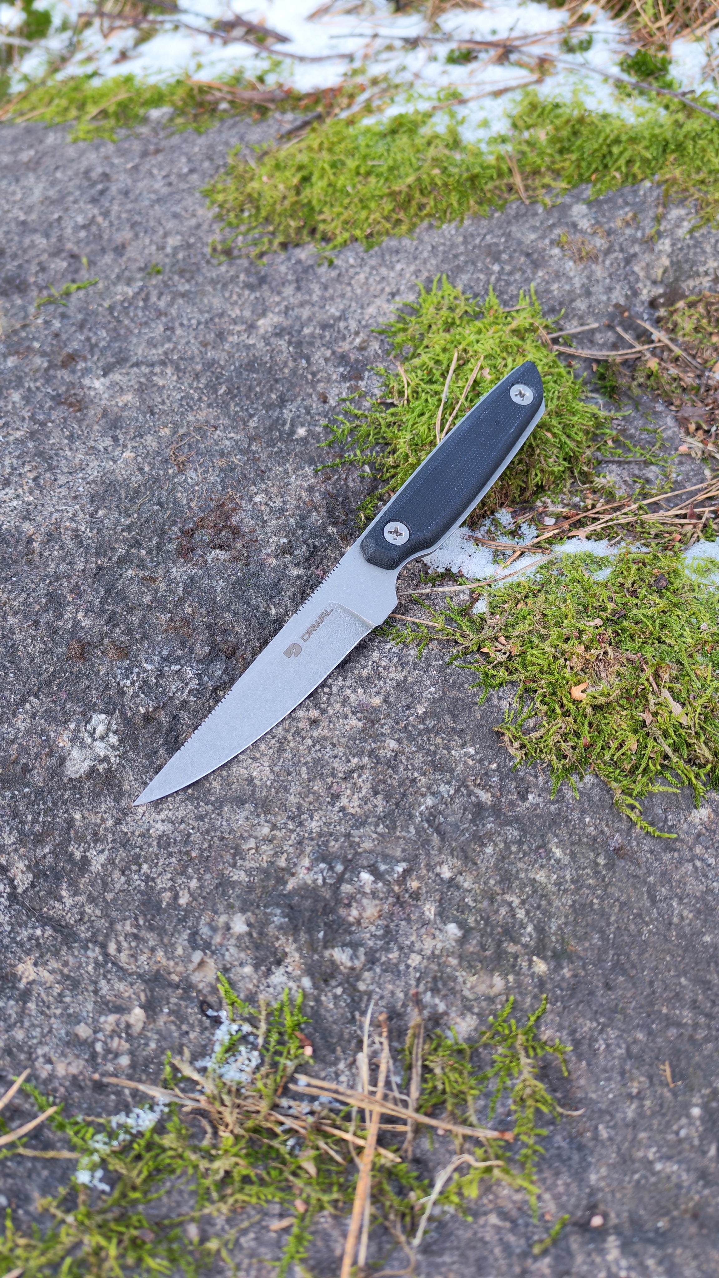 Falcon - Tom Drwal's Knife