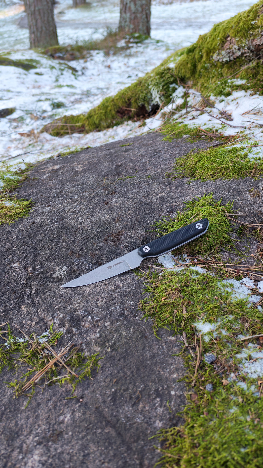 Falcon - Tom Drwal's Knife